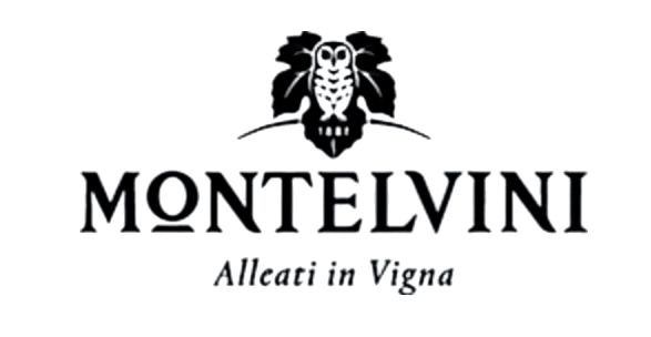 Montelvini Montelvini