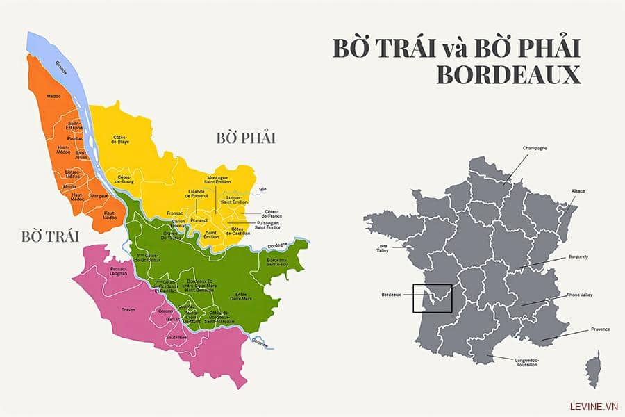 Khám phá sự khác biệt giữa Bờ Trái và Bờ Phải Bordeaux